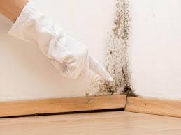 Best Mold Odor Removal Services  in Lexington, WA